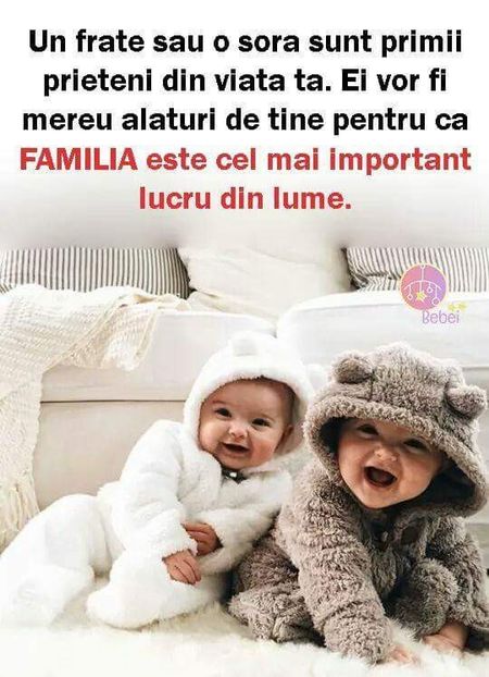  - Poze 2