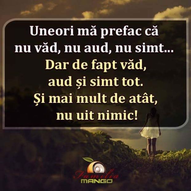  - Poze 2