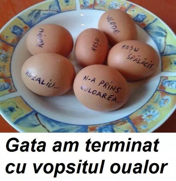  - Poze 2