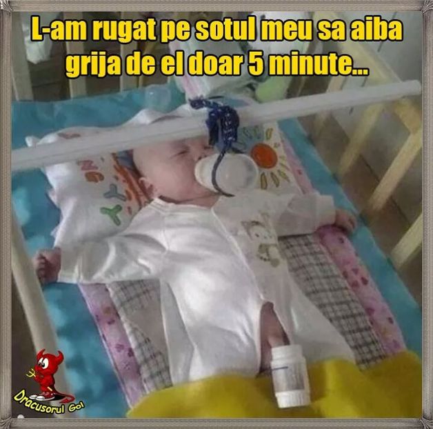  - Poze 2