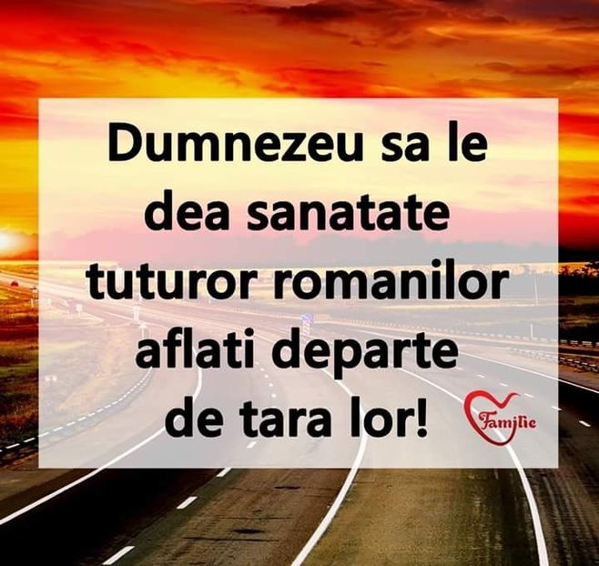  - Poze 2