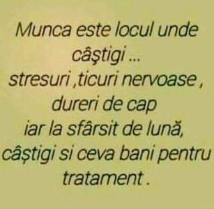  - Poze 2