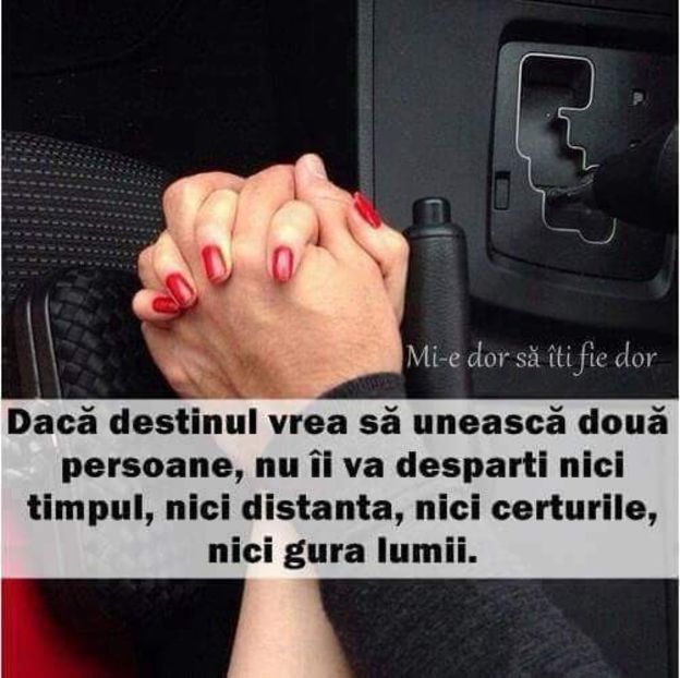  - Poze 2