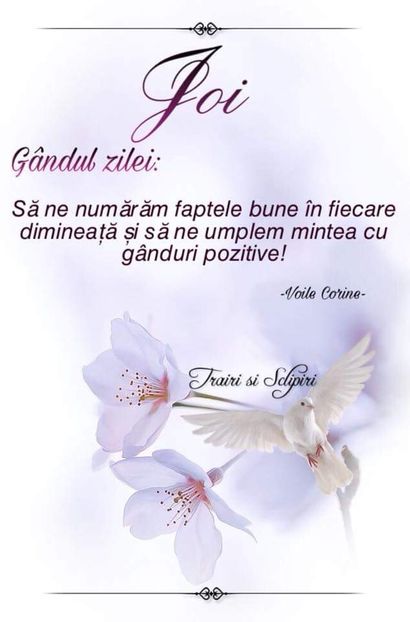  - Poze 2