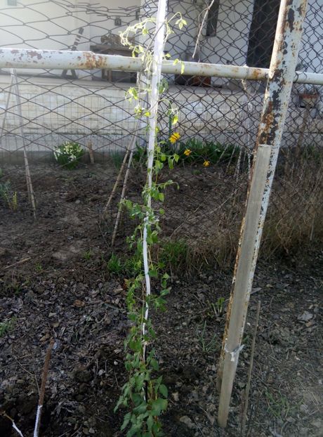 4aprilie 2018 - 07 Sunset