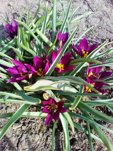  - curtea cu toate cele 2018