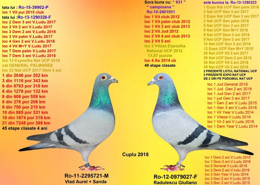 ALBASTRU BANICA si 979027 SORA 931 - CUPLURILE DE MATCA 2018