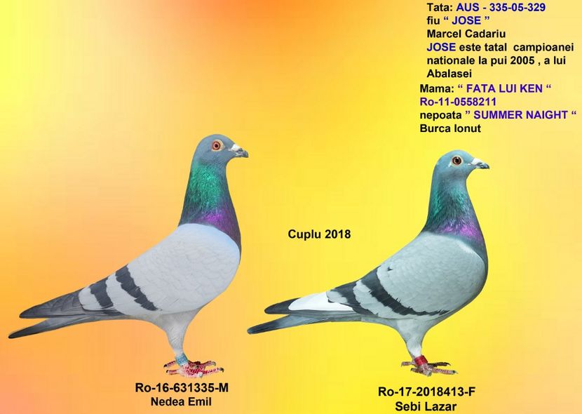 ALBASTRU NEDEA 335 si LISTA SEBI - CUPLURILE DE MATCA 2018
