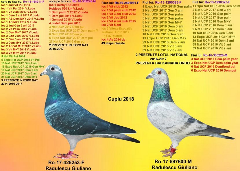 CUCU FIU 323 si FICA CUCU si CAMP 931 - CUPLURILE DE MATCA 2018