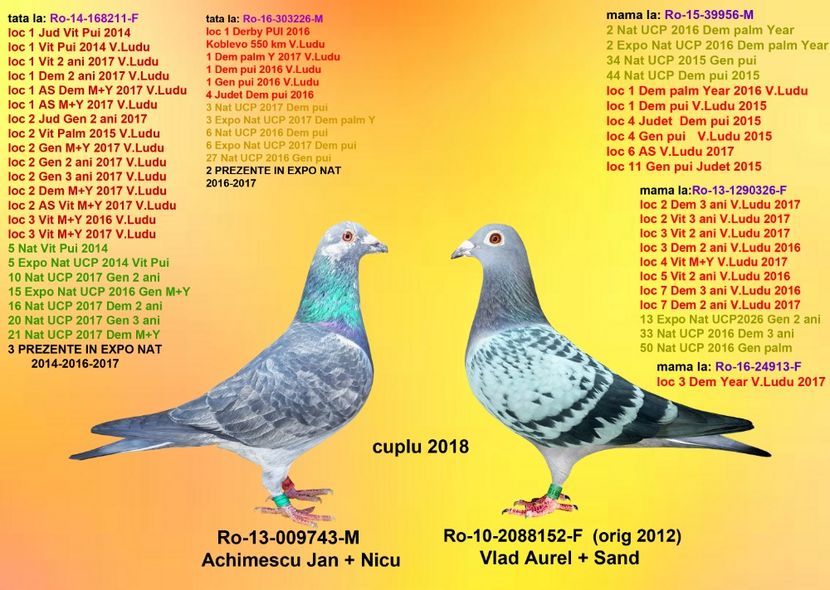 CUCUC si SOLZ BANICA - CUPLURILE DE MATCA 2018