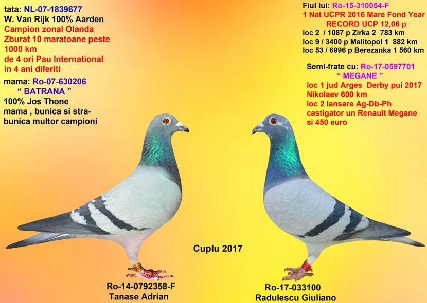 FIU 054 si FIICA BATRANA - CUPLURILE DE MATCA 2018