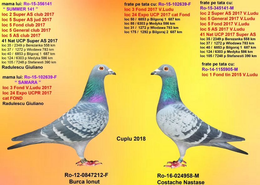 Fiu SUMMER MARE si SOLZATA BURCA 212 - CUPLURILE DE MATCA 2018