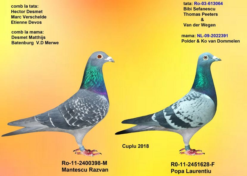 MANTESCU si POLDER - CUPLURILE DE MATCA 2018