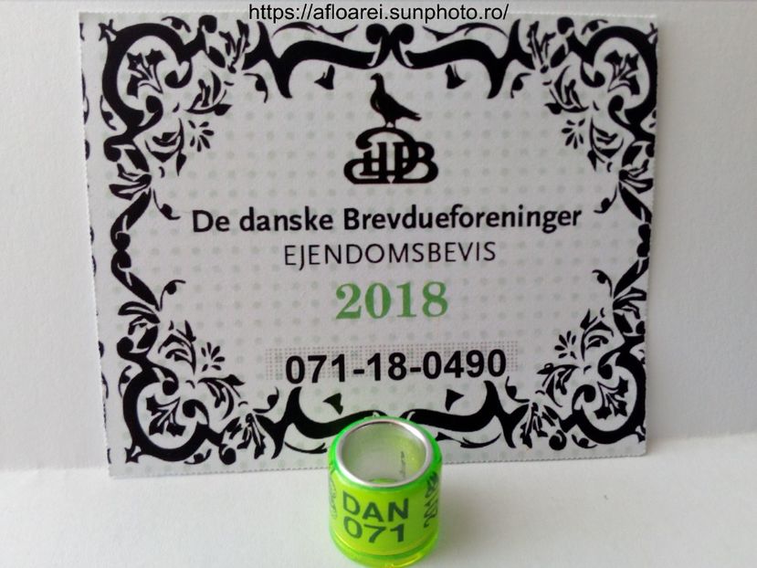 DAN 2018 - DANEMARCA-DAN