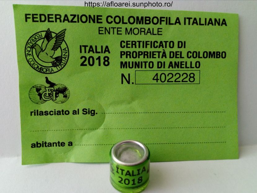 italia 2018 - ITALIA