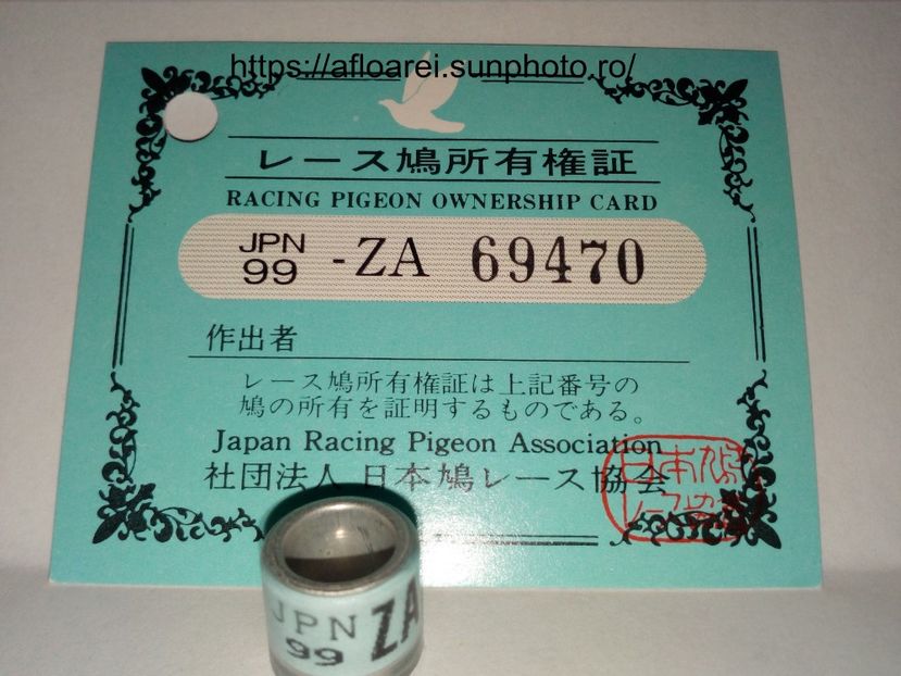 JPN 99 ZA - JAPONIA-JPN