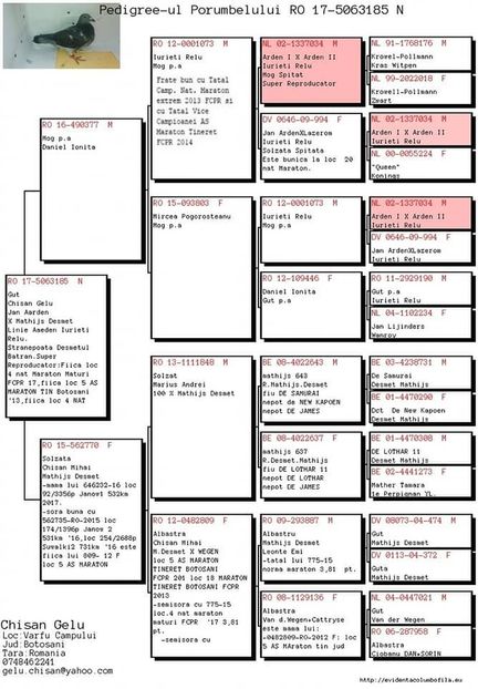  - In voliera - achizitii