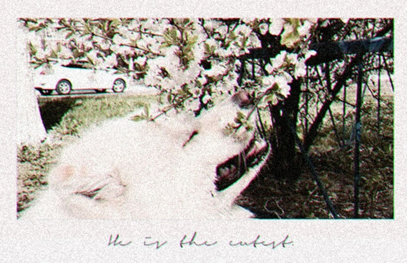 ❪04A̭p̭r̭2018❫　▪ ·ꕥ· ▫　written by J̭ḙḽḙṋa̭. - 21stMar2018 Page from our diary