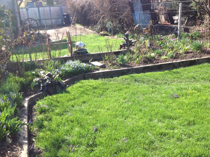  - Gradina feb 2018 un inceput de nou sezon