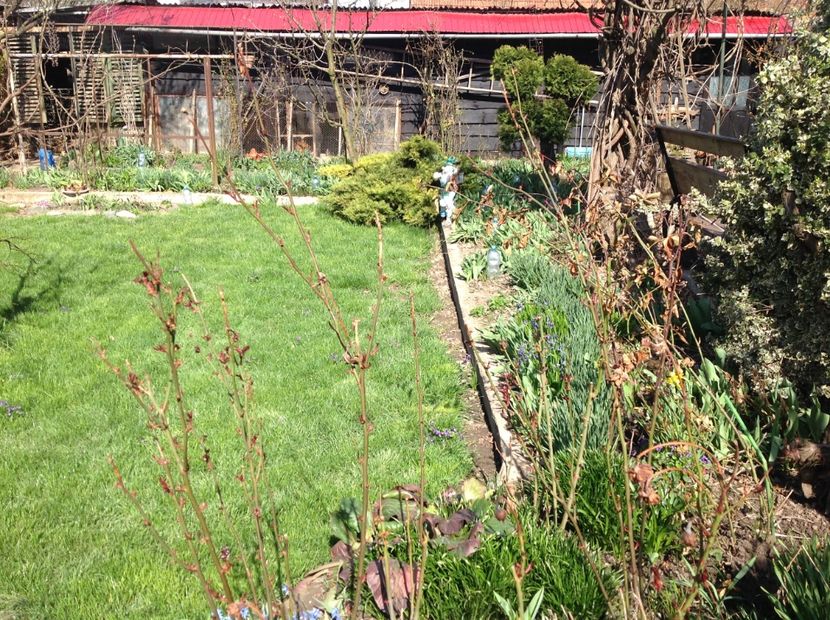  - Gradina feb 2018 un inceput de nou sezon