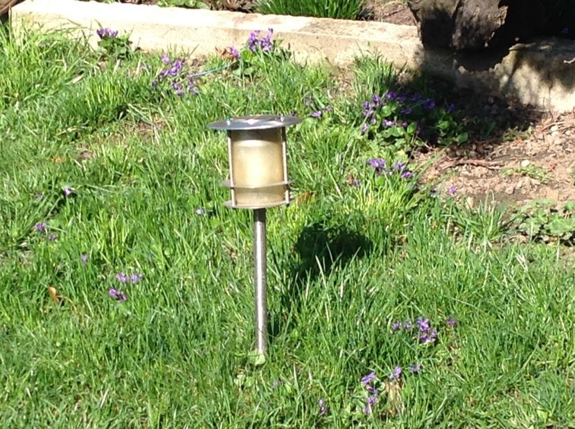  - Gradina feb 2018 un inceput de nou sezon