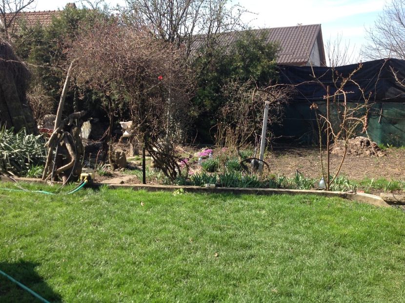  - Gradina feb 2018 un inceput de nou sezon