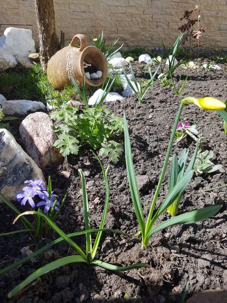 Paste 08.04.2018 Hristos a inviat! - Aprilie 2018