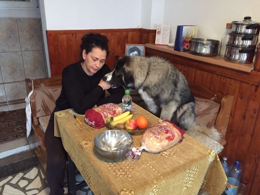 25.03.2018 MARA LA 7 LUNI - MARA DE CROITORU