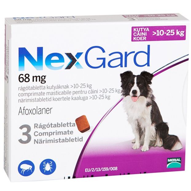 poza-nexgard-10-25-kg - Ce antiparazitare folosim pentru caine? Dar pentru pisica?