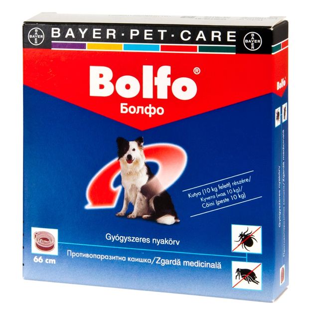 bolfo-dog-66-1 - Ce antiparazitare folosim pentru caine? Dar pentru pisica?