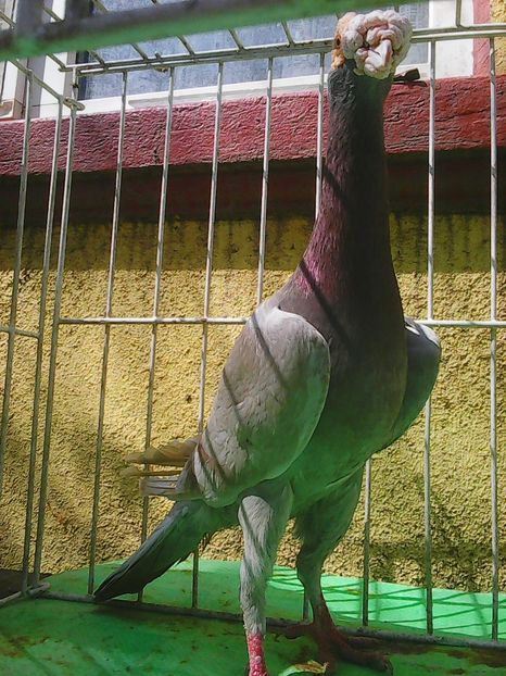 Photo1016 - Instantanee