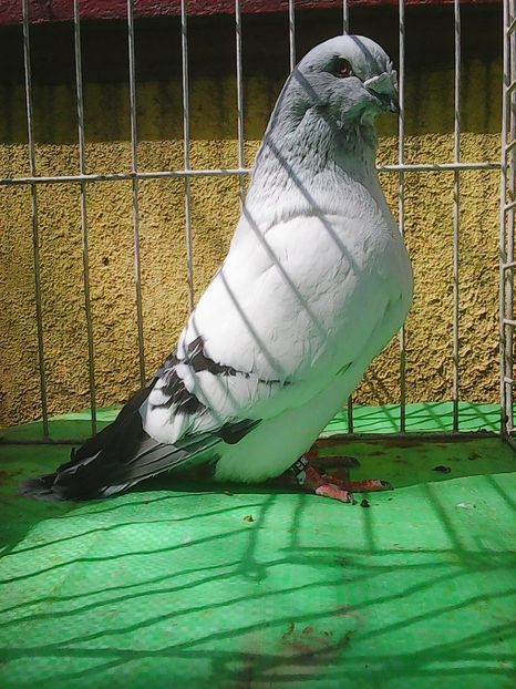 Photo1025 - Instantanee