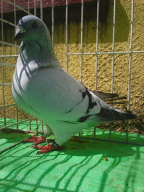 Photo1026 - Instantanee