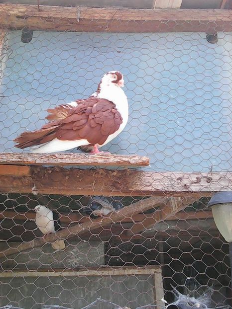 Photo1060 - Instantanee