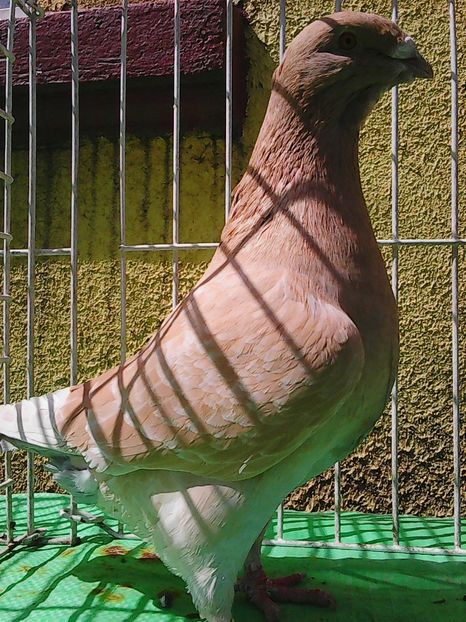 Photo1062 - Instantanee