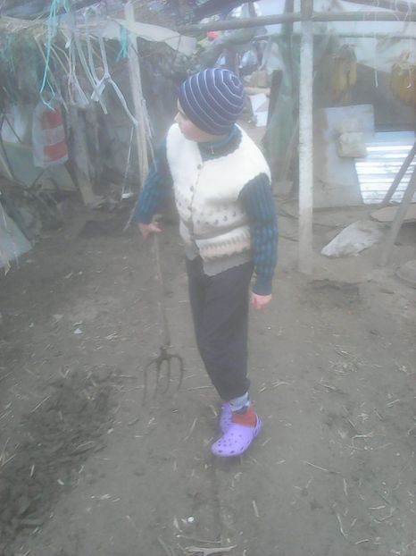 Copy of Photo1004 - Instantanee