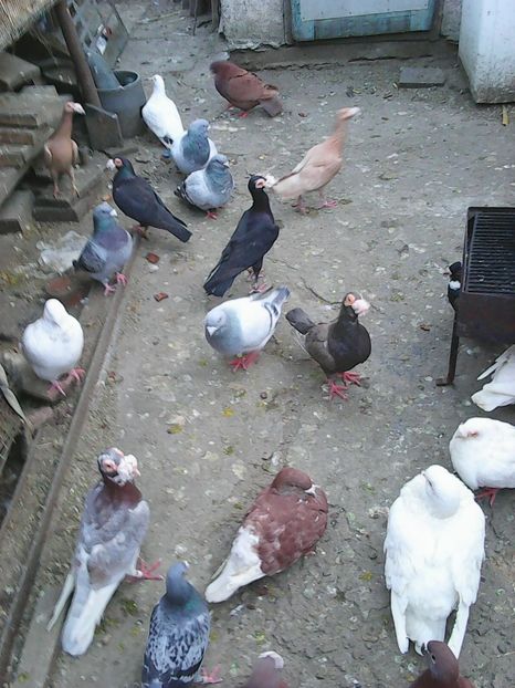 Copy of Photo1174 - Carieri