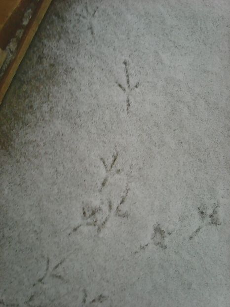 Photo1011 - Instantanee