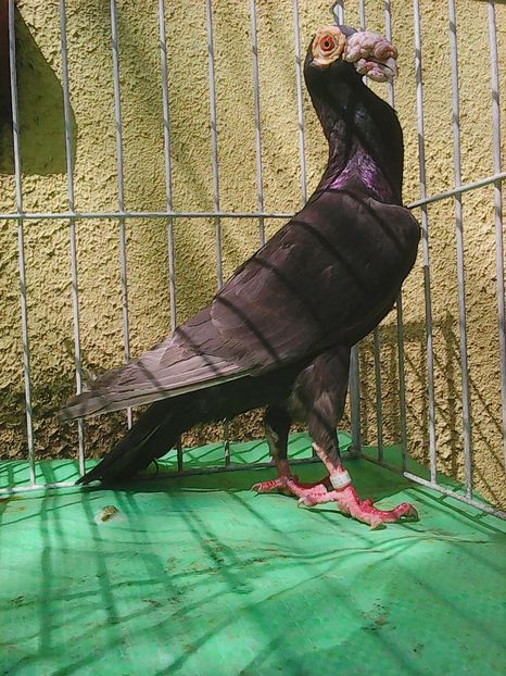 Photo1014 - Instantanee