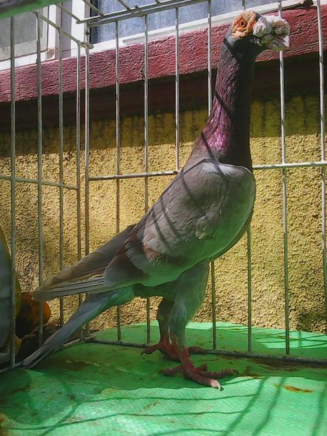 Photo1015 - Instantanee