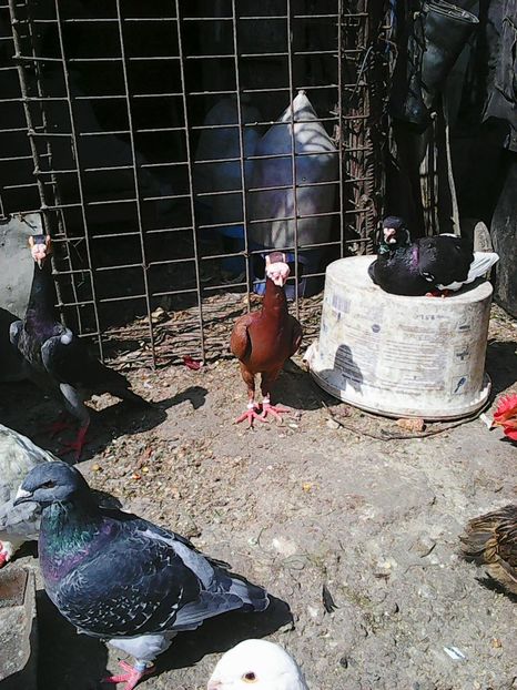 Photo1028 - Instantanee