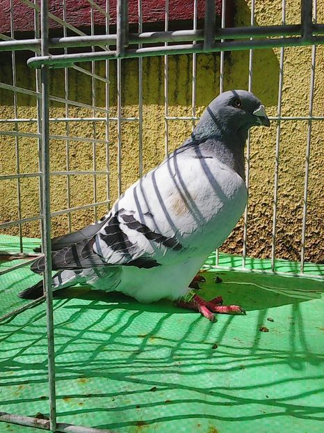 Photo1034 - Instantanee