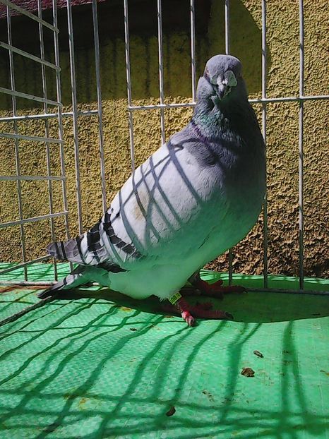 Photo1035 - Instantanee