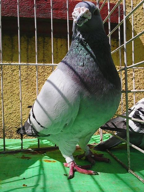 Photo1041 - Instantanee