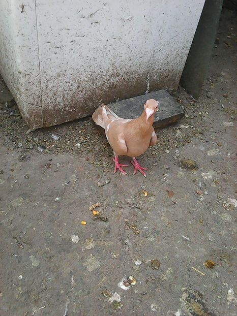 Photo1047 - Instantanee