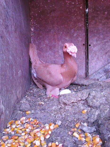 Photo1048 - Instantanee