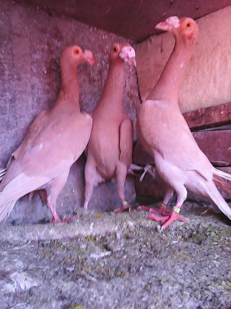 Photo1051 - Instantanee