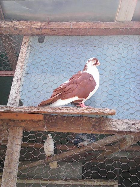 Photo1061 - Instantanee