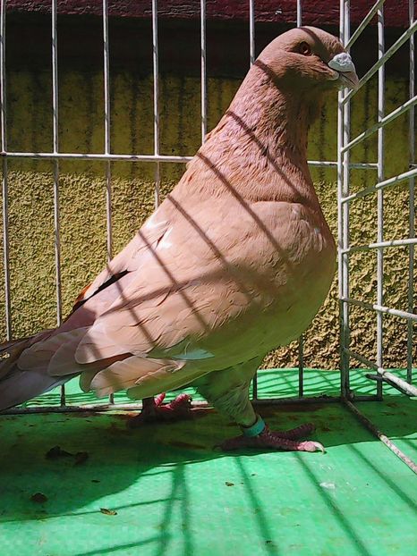 Photo1067 - Instantanee