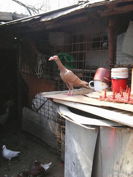 Photo1071 - Instantanee